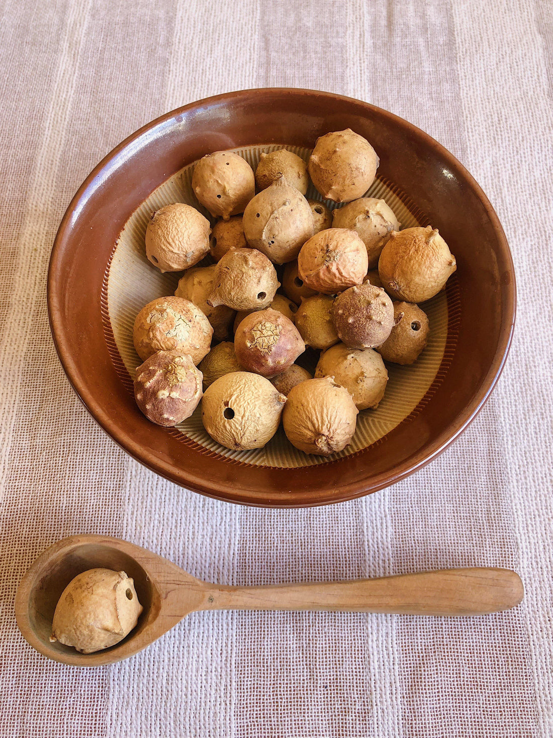 OUR ALEPPO OAK GALL CONTAIN THE RICHEST TANNIN - themazi