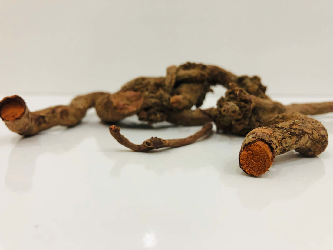 Exploring the Vibrant World of Madder Extract (Rubia Tinctorum L)
