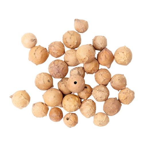 White Oak Gallnuts | Whole