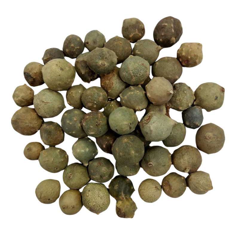 Green Oak Gallnuts | Whole