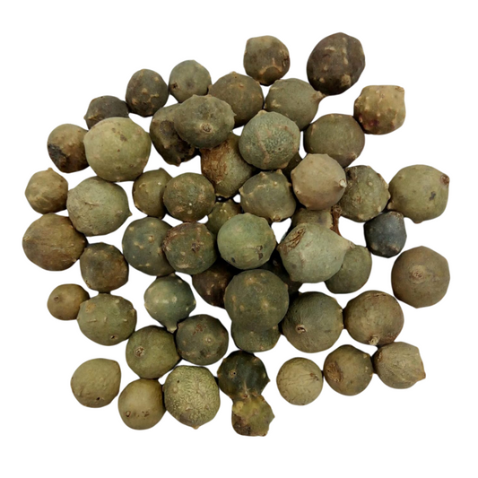 Green Oak Gallnuts (Whole) – Tannin (Quercus infectoria)