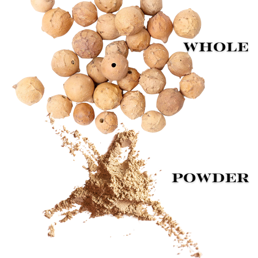 Whole Aleppo Oak Galls – natural source of tannin for mordanting