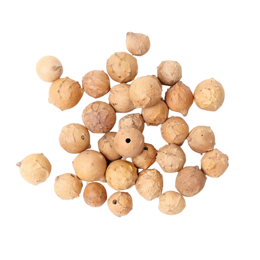 Whole white oak gallnuts (Quercus infectoria) tannin-rich galls for natural dyeing