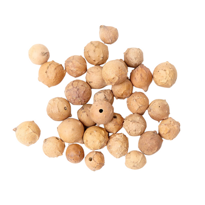 Aleppo Oak Galls whole and powder forms for natural tannin mordanting