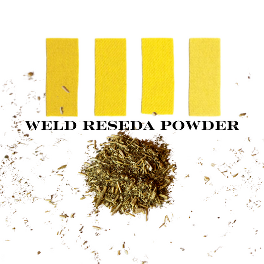 Weld - Reseda Luteola L. Powder