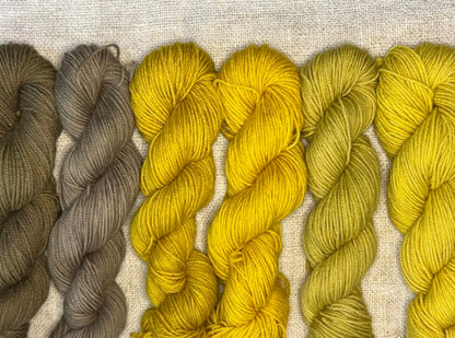 Buckthorn dye color results: golden yellow with alum and olive tones with iron modifier