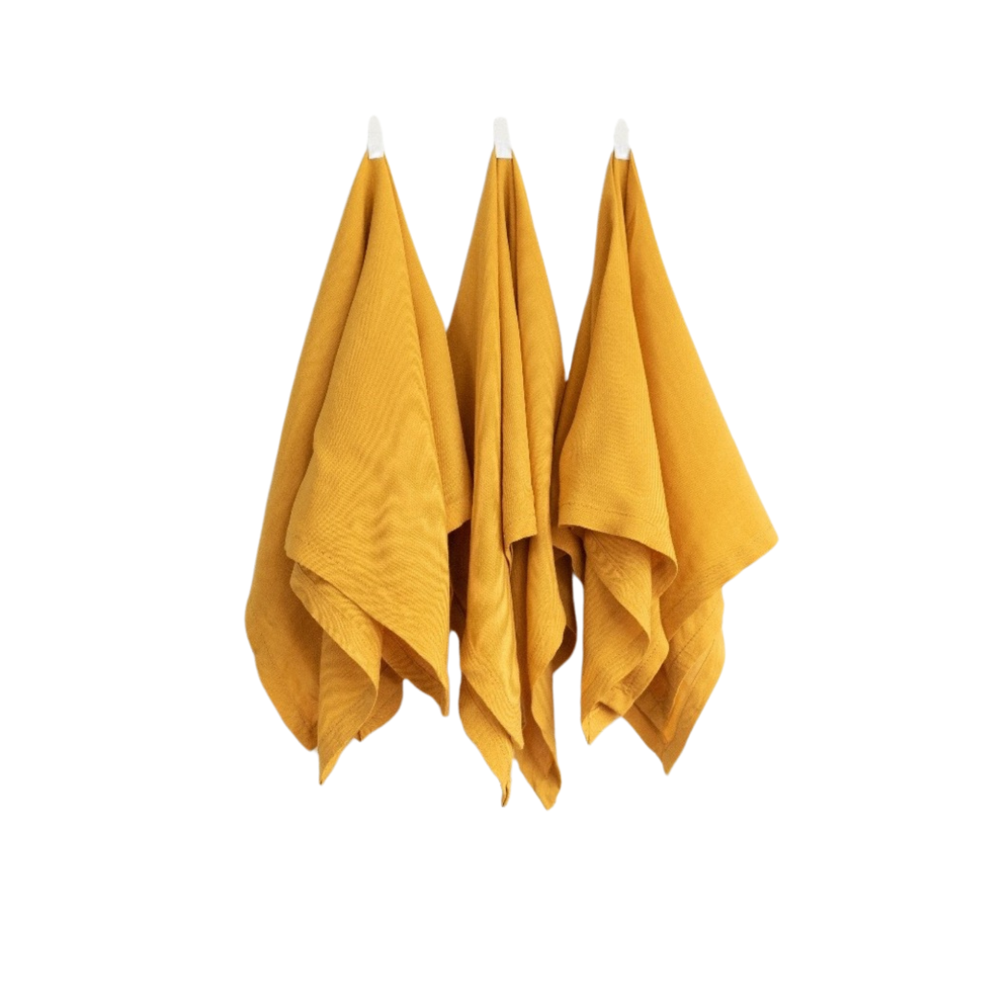 Natural dye bath made from buckthorn berries – eco-friendly textile dyeing