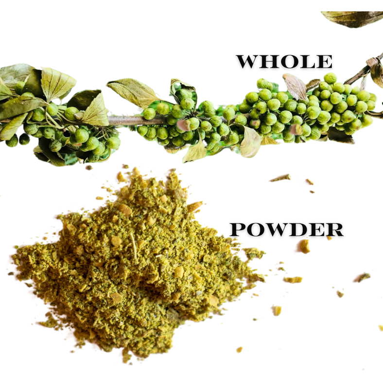 Close-up of buckthorn seeds used for natural dyeing (Rhamnus)