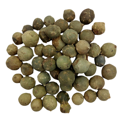 Whole green oak galls (Quercus infectoria) used for tannin – TheMazi