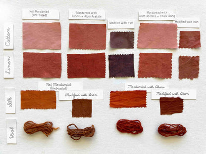 Madder root dye test swatches on cotton, linen, silk, and wool with different mordant treatments