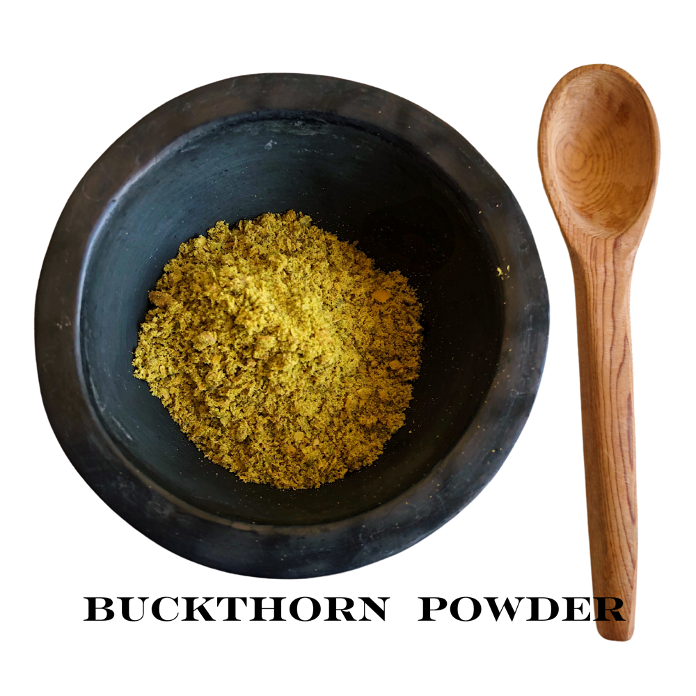Rhamnus cathartica plant – source of buckthorn natural dye