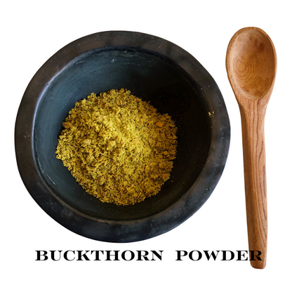 Rhamnus cathartica plant – source of buckthorn natural dye